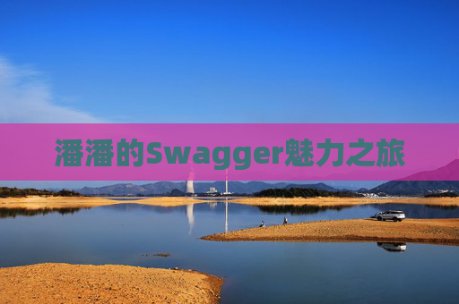 潘潘的Swagger魅力之旅